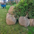 PXL_20230927_074137048.jpg